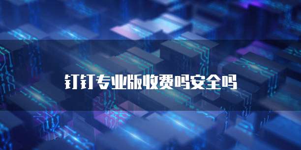 钉钉专业版收费吗安全吗