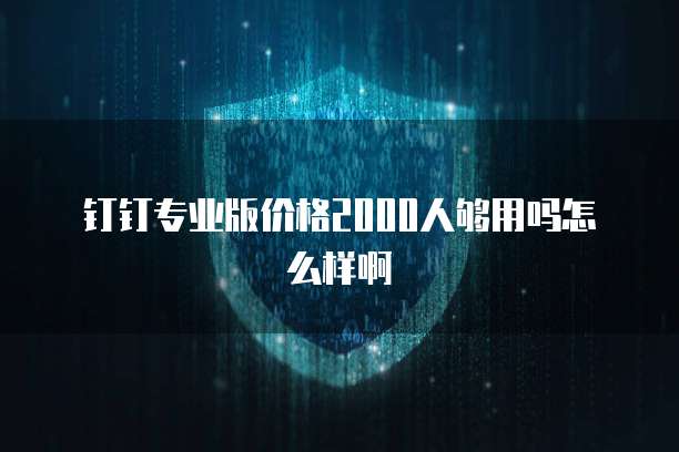 钉钉专业版价格2000人够用吗怎么样啊