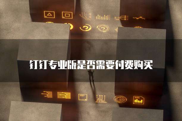 钉钉专业版是否需要付费购买