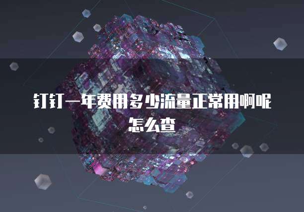 钉钉一年费用多少流量正常用啊呢怎么查