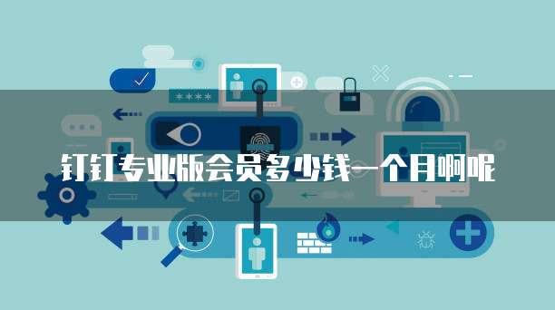 钉钉专业版会员多少钱一个月啊呢