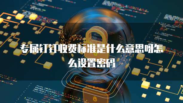 专属钉钉收费标准是什么意思呀怎么设置密码