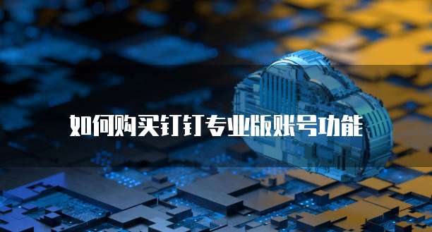 如何购买钉钉专业版账号功能