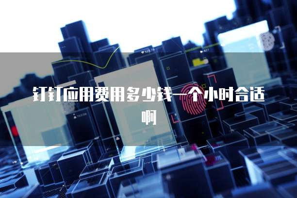 钉钉应用费用多少钱一个小时合适啊