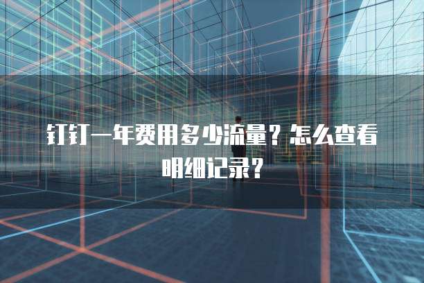 钉钉一年费用多少流量?怎么查看明细记录?