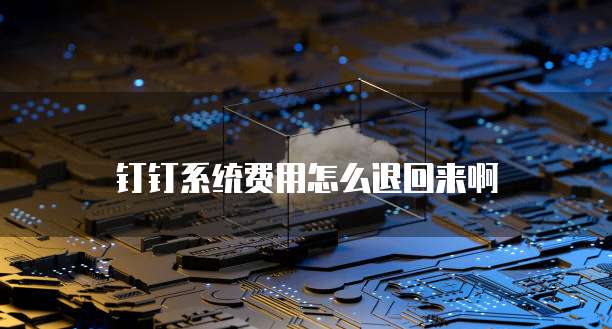钉钉系统费用怎么退回来啊