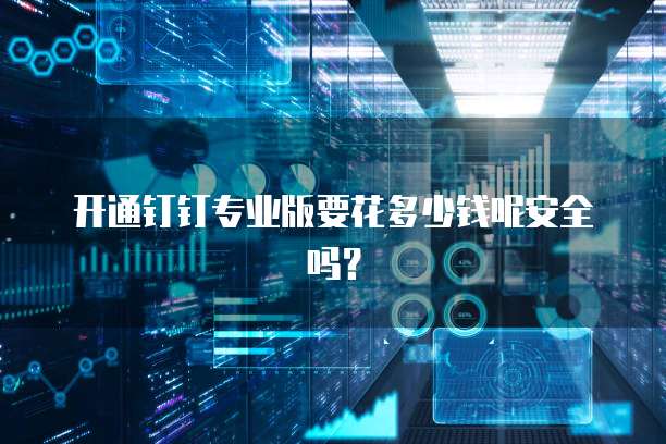 开通钉钉专业版要花多少钱呢安全吗?