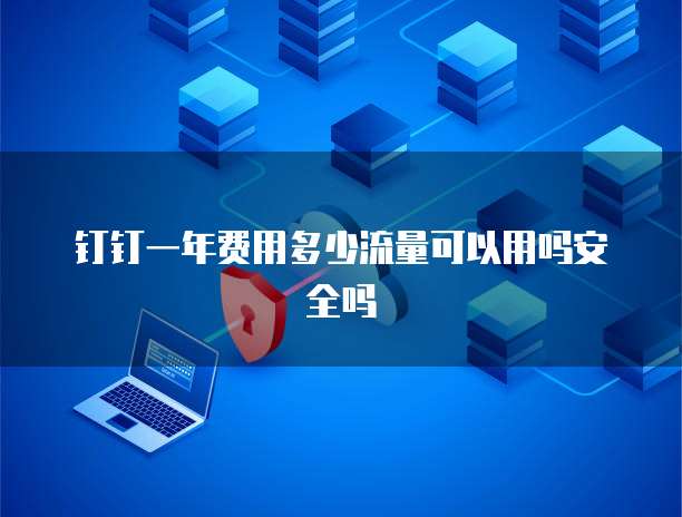 钉钉一年费用多少流量可以用吗安全吗