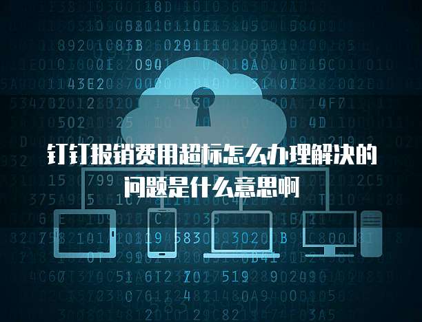 钉钉报销费用超标怎么办理解决的问题是什么意思啊