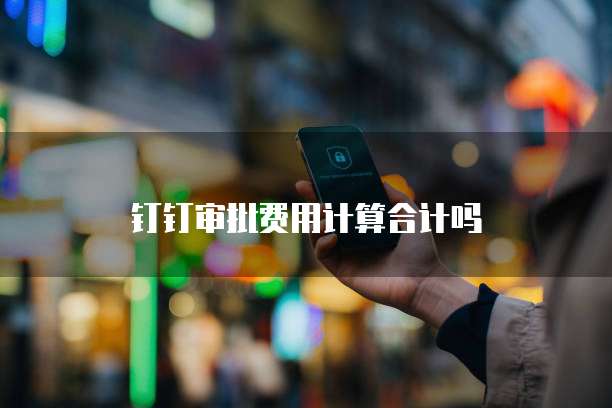 钉钉审批费用计算合计吗