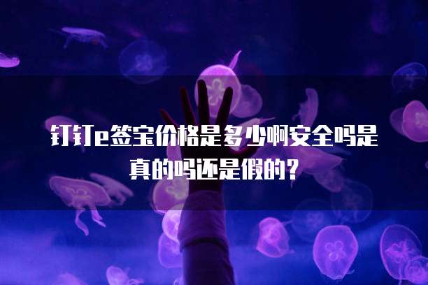 钉钉e签宝价格是多少啊安全吗是真的吗还是假的?