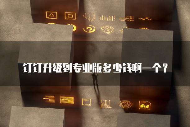钉钉升级到专业版多少钱啊一个?