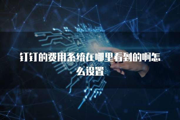 钉钉的费用系统在哪里看到的啊怎么设置
