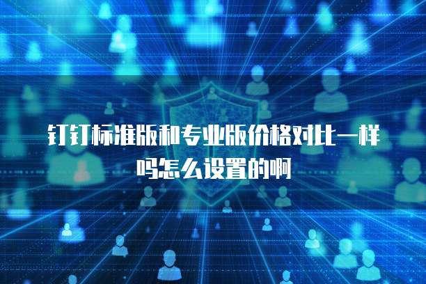 钉钉标准版和专业版价格对比一样吗怎么设置的啊