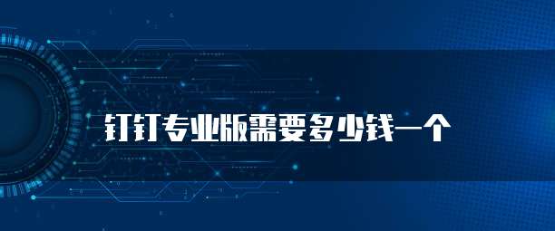 钉钉专业版需要多少钱一个