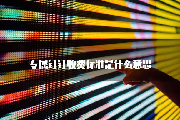 专属钉钉收费标准是什么意思
