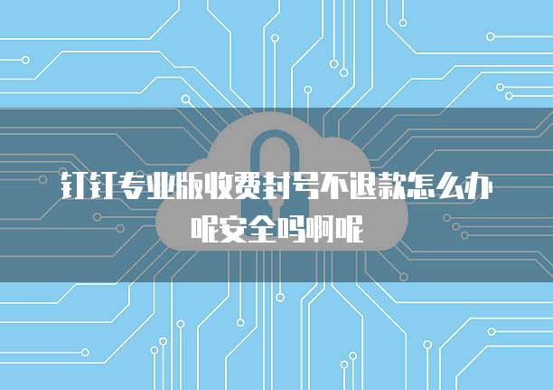钉钉专业版收费封号不退款怎么办呢安全吗啊呢