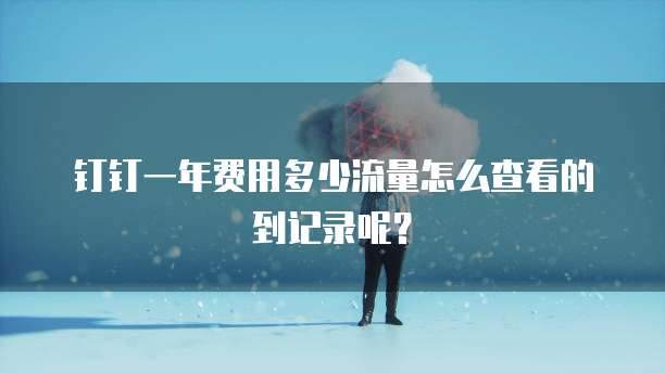 钉钉一年费用多少流量怎么查看的到记录呢?