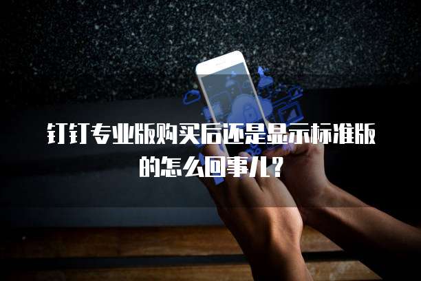 钉钉专业版购买后还是显示标准版的怎么回事儿?