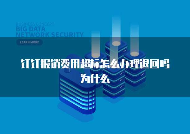钉钉报销费用超标怎么办理退回吗为什么