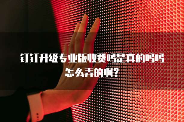 钉钉升级专业版收费吗是真的吗吗怎么弄的啊?