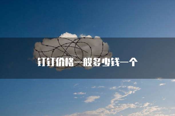 钉钉价格一般多少钱一个