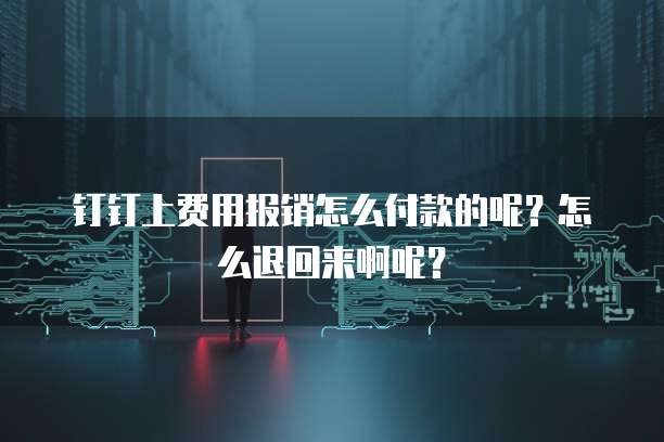 钉钉上费用报销怎么付款的呢?怎么退回来啊呢?