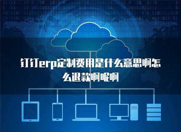 钉钉erp定制费用是什么意思啊怎么退款啊呢啊