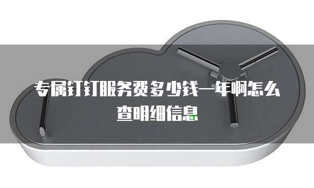 专属钉钉服务费多少钱一年啊怎么查明细信息