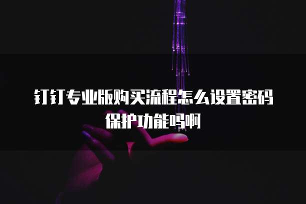 钉钉专业版购买流程怎么设置密码保护功能吗啊
