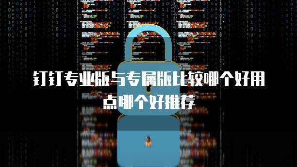 钉钉专业版与专属版比较哪个好用点哪个好推荐