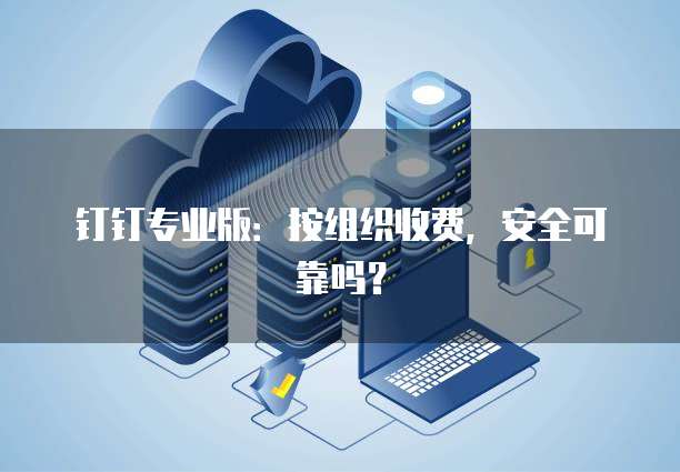 钉钉专业版：按组织收费，安全可靠吗？