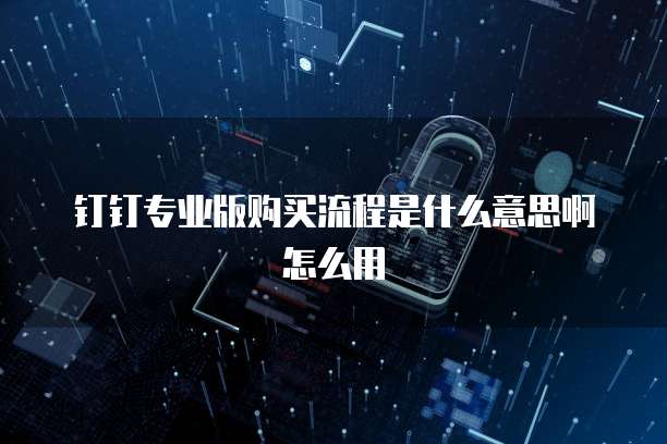钉钉专业版购买流程是什么意思啊怎么用