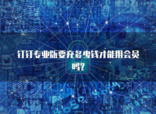 钉钉专业版要充多少钱才能用会员吗？
