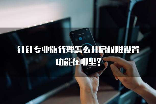 钉钉专业版代理怎么开启权限设置功能在哪里?