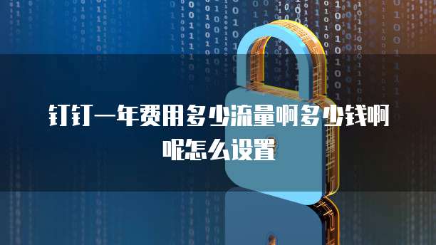 钉钉一年费用多少流量啊多少钱啊呢怎么设置