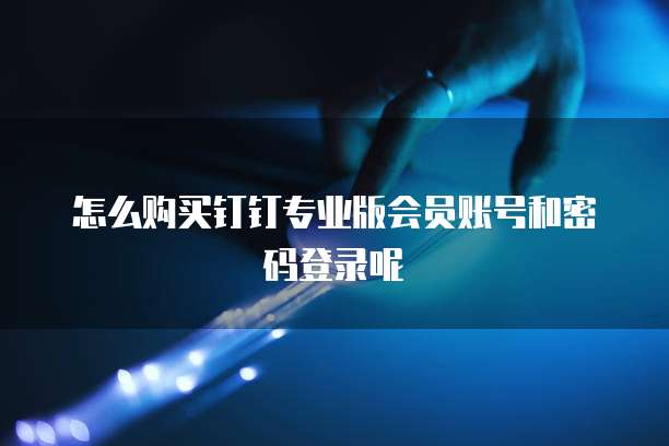 怎么购买钉钉专业版会员账号和密码登录呢