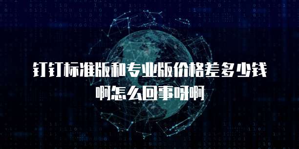 钉钉标准版和专业版价格差多少钱啊怎么回事呀啊