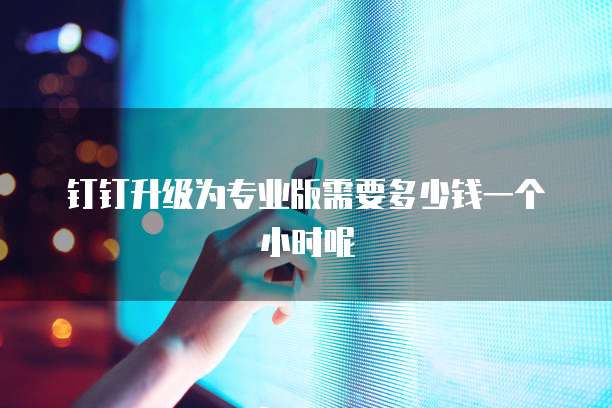 钉钉升级为专业版需要多少钱一个小时呢