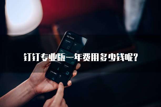 钉钉专业版一年费用多少钱呢?