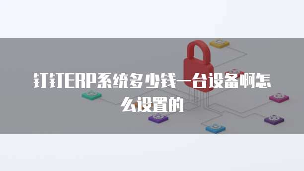 钉钉ERP系统多少钱一台设备啊怎么设置的