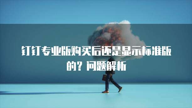钉钉专业版购买后还是显示标准版的？问题解析
