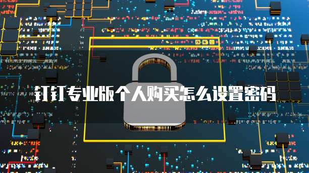 钉钉专业版个人购买怎么设置密码