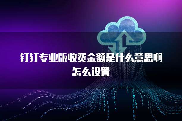 钉钉专业版收费金额是什么意思啊怎么设置