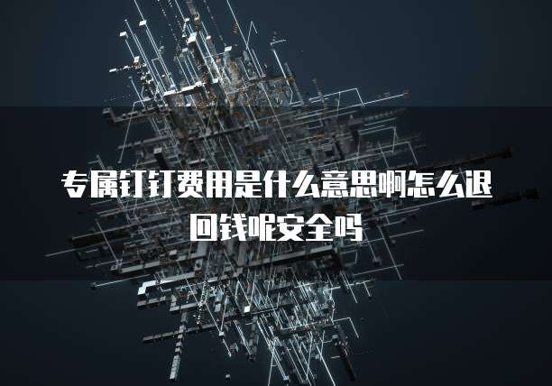 专属钉钉费用是什么意思啊怎么退回钱呢安全吗