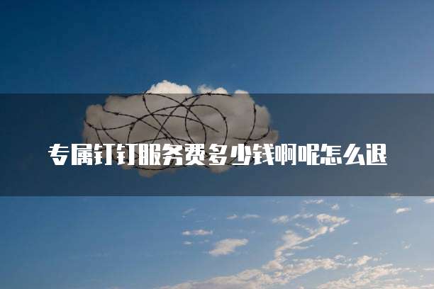 专属钉钉服务费多少钱啊呢怎么退