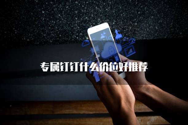专属钉钉什么价位好推荐