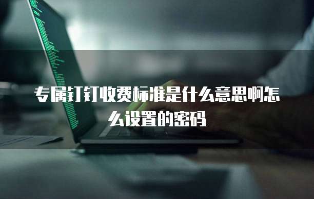 专属钉钉收费标准是什么意思啊怎么设置的密码