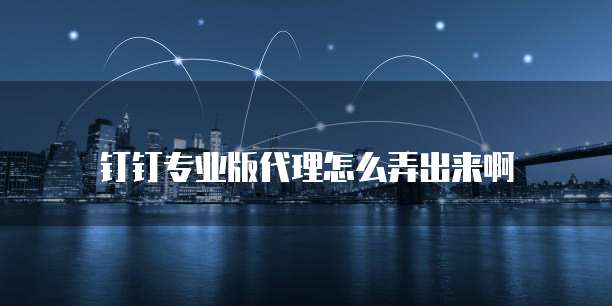 钉钉专业版代理怎么弄出来啊