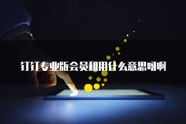钉钉专业版会员租用什么意思呀啊